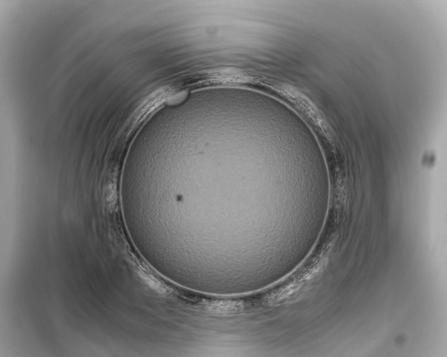 X0000099430889200805161107
