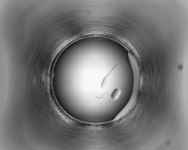 X0000099430890200805161107