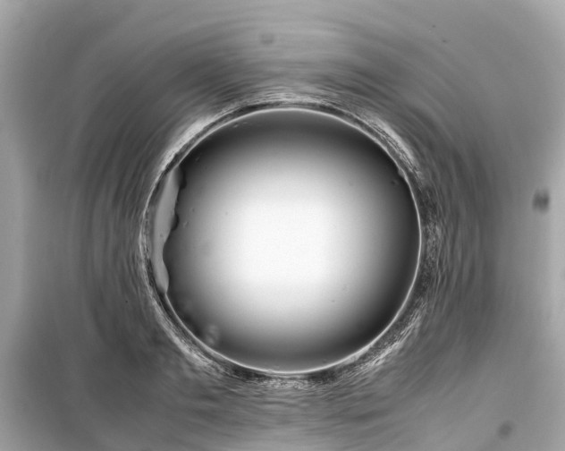 X0000099430893200805161107
