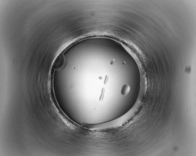 X0000099430894200805161107
