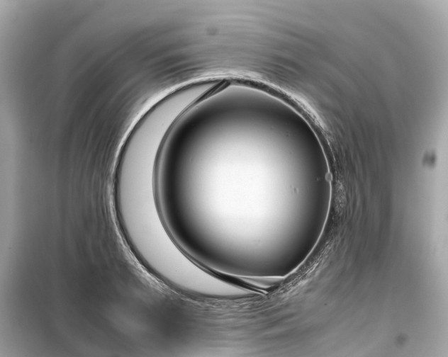 X0000099430895200805161107