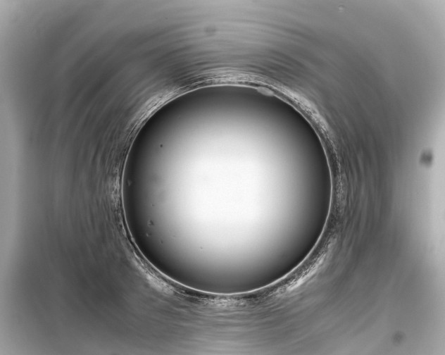 X0000099430897200805161107