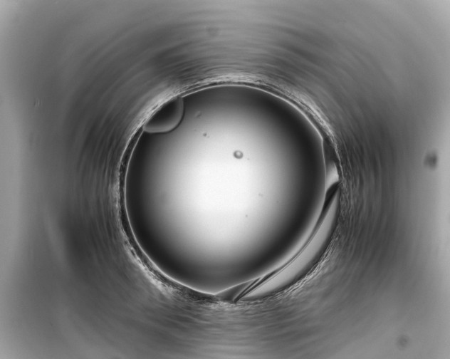 X0000099430898200805161107