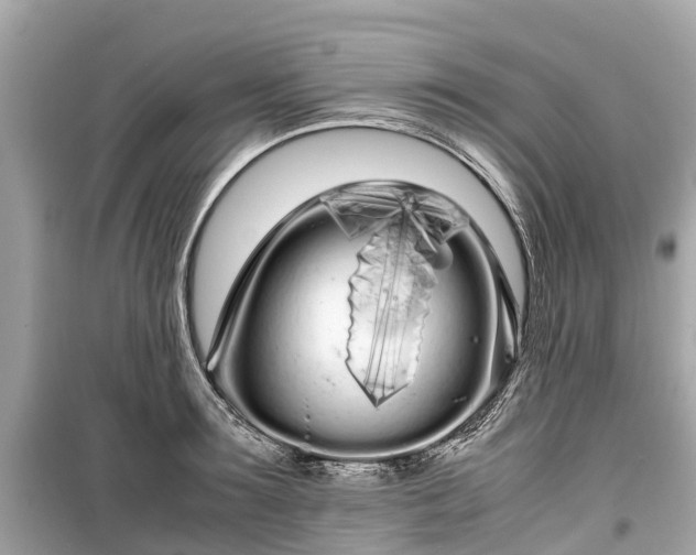 X0000099430899200805161107