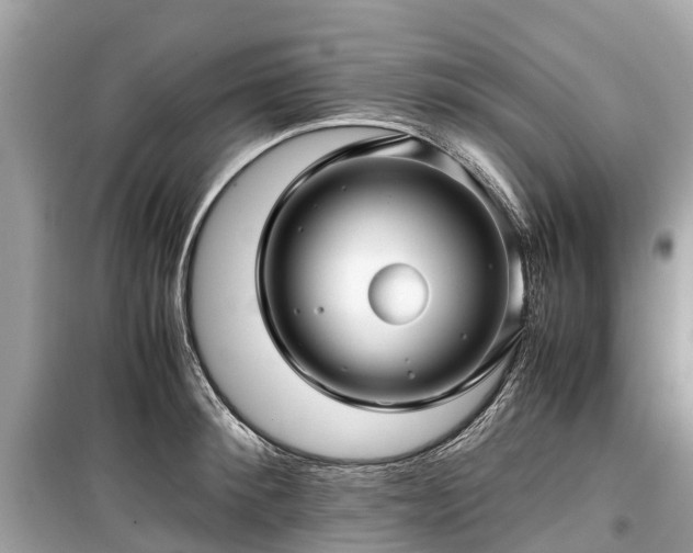X0000099430900200805161107
