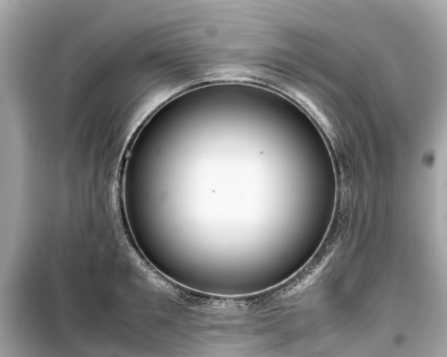 X0000099430901200805161107