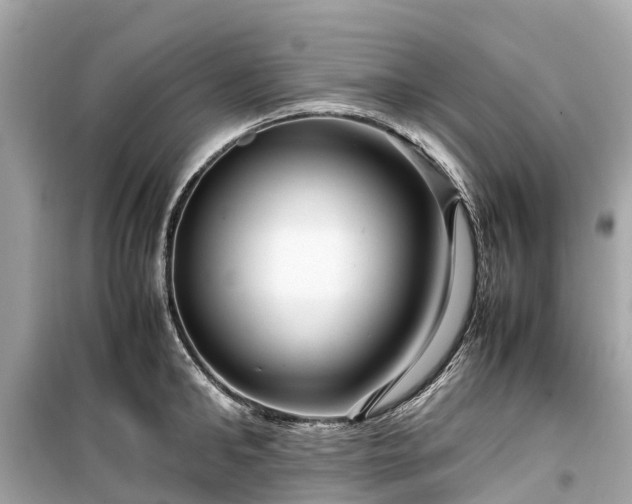 X0000099430902200805161107