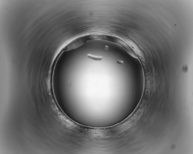 X0000099430904200805161107