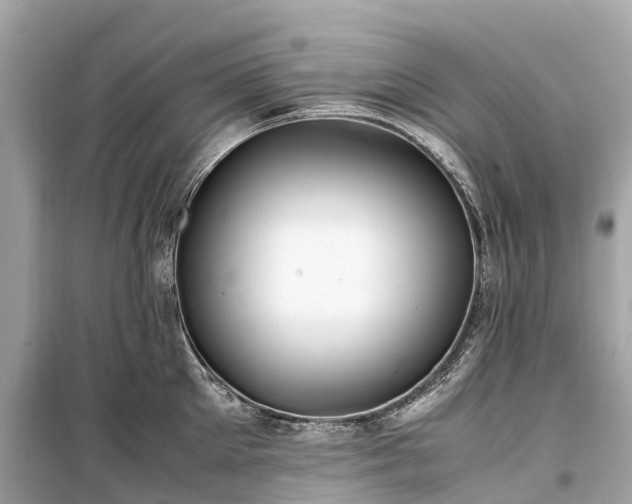 X0000099430905200805161107