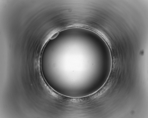 X0000099430906200805161107