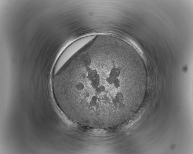 X0000099430907200805161107