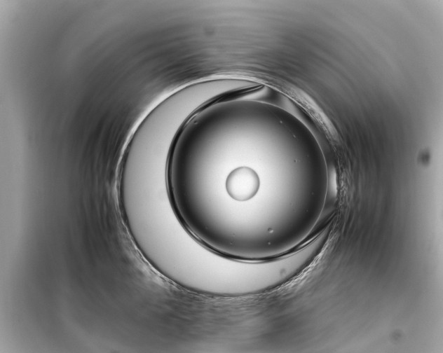X0000099430908200805161107