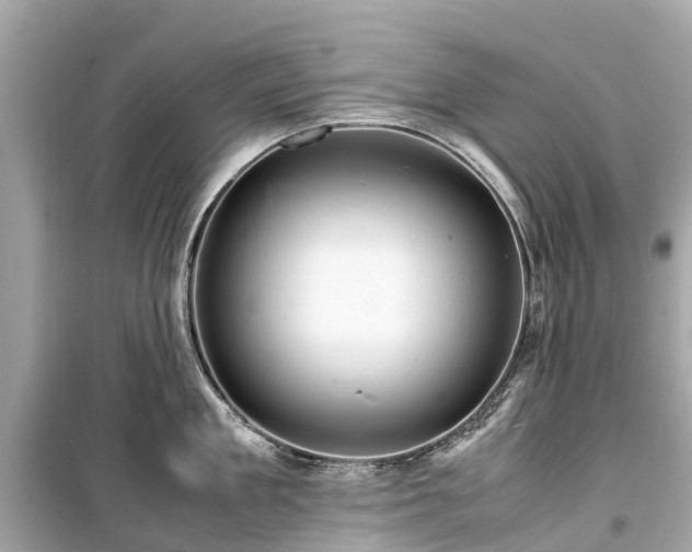 X0000099430909200805161107