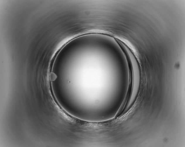 X0000099430910200805161107