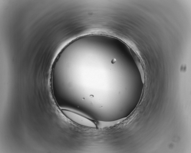X0000099430912200805161107