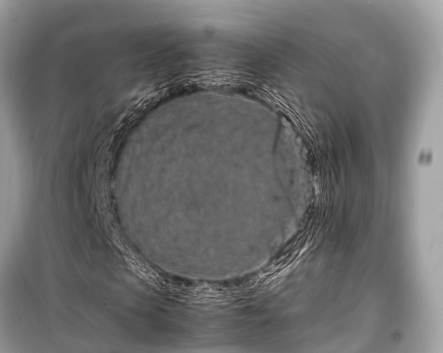 X0000099430913200805161106