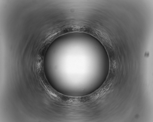 X0000099430914200805161106