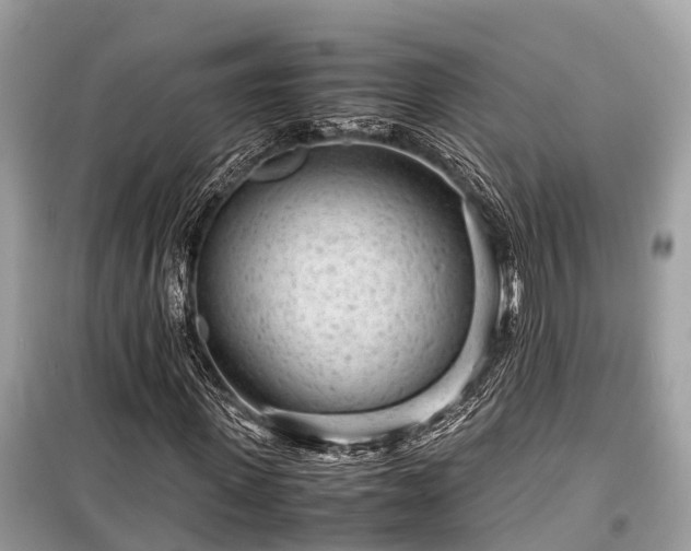 X0000099430915200805161106