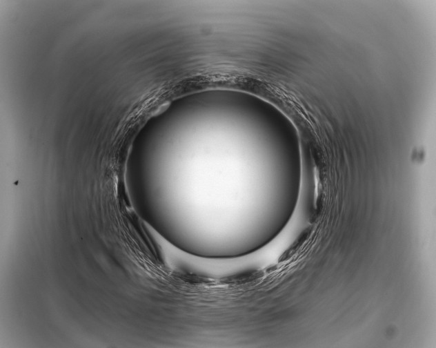 X0000099430916200805161106