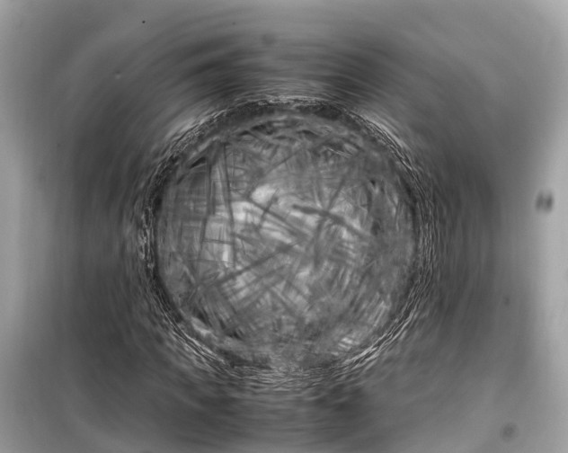X0000099430917200805161106