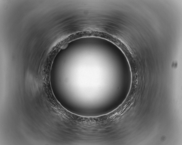 X0000099430919200805161106