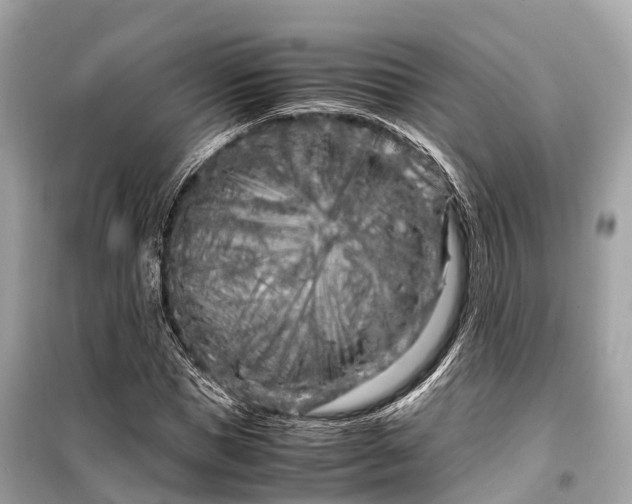 X0000099430921200805161106