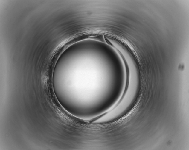 X0000099430922200805161106