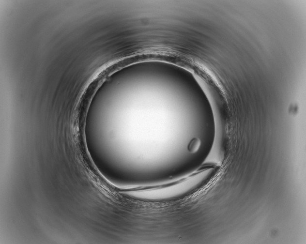 X0000099430923200805161106
