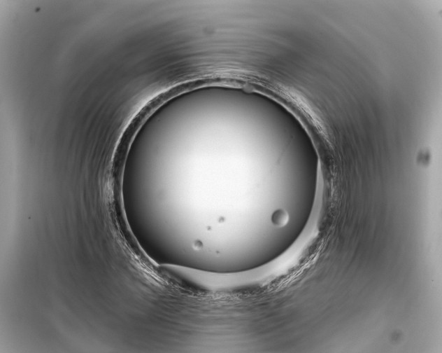 X0000099430924200805161106