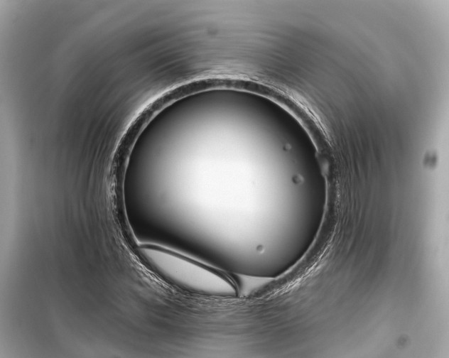 X0000099430926200805161106