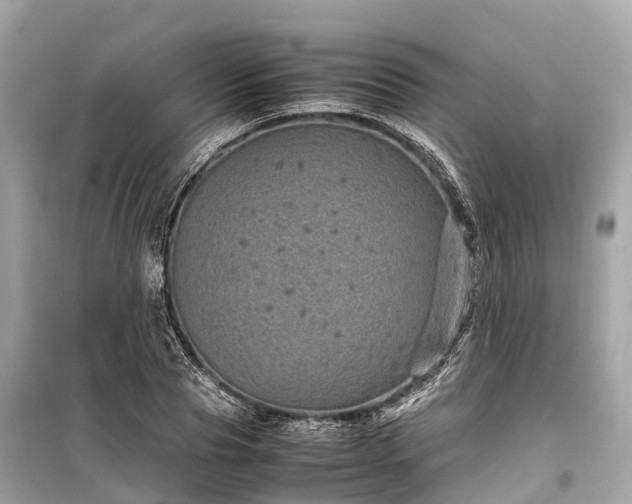 X0000099430929200805161107