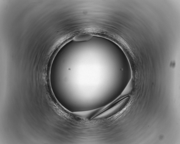 X0000099430930200805161107
