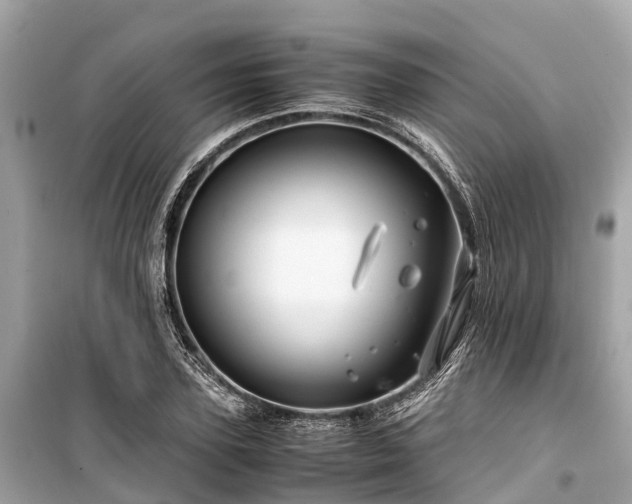 X0000099430931200805161107
