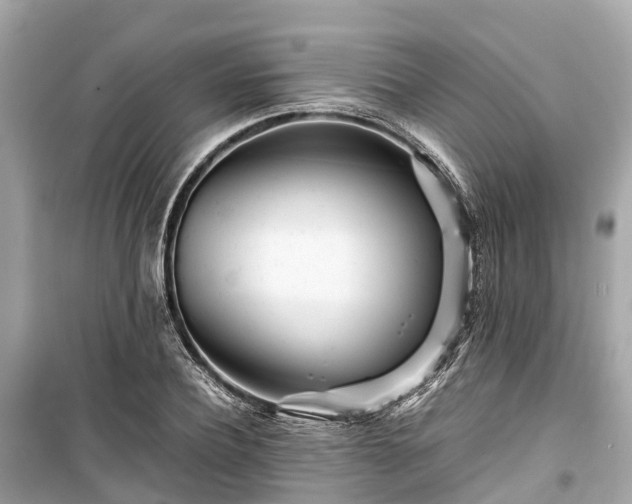 X0000099430932200805161107