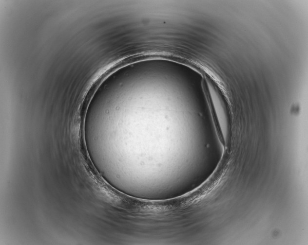 X0000099430933200805161107
