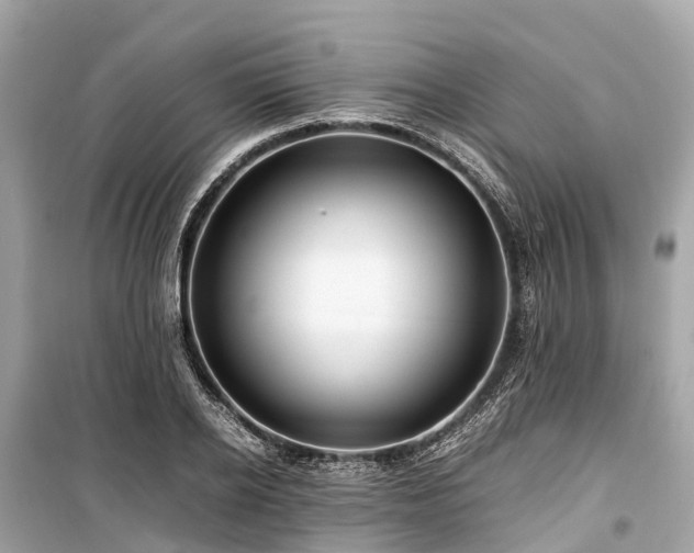 X0000099430934200805161107