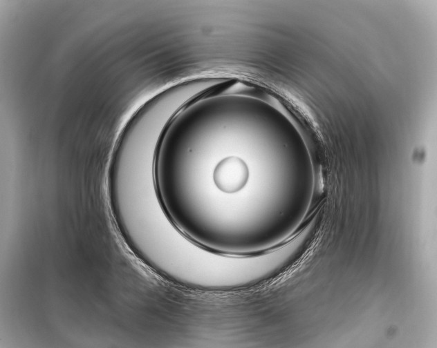 X0000099430936200805161107