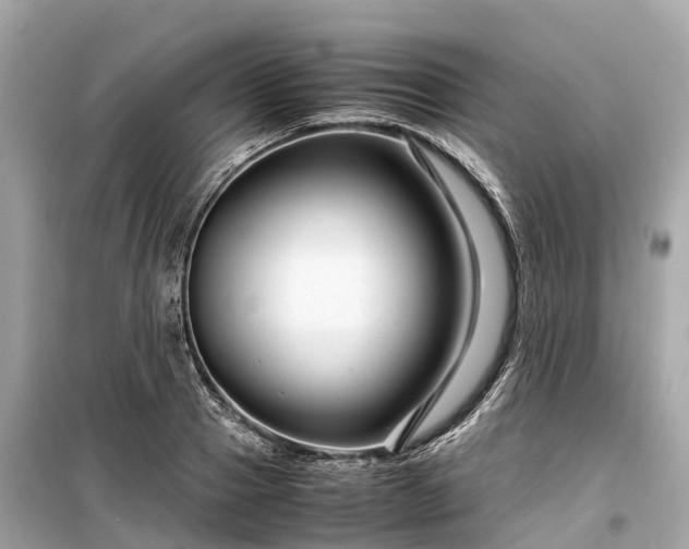 X0000099430937200805161107