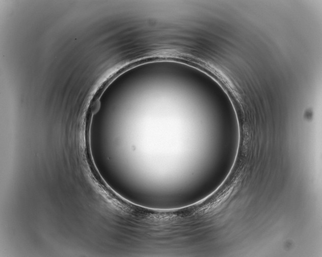 X0000099430939200805161107
