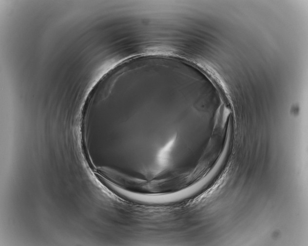 X0000099430941200805161107