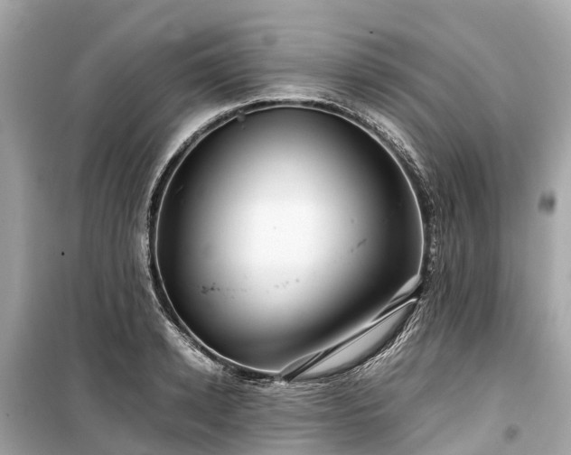 X0000099430942200805161107