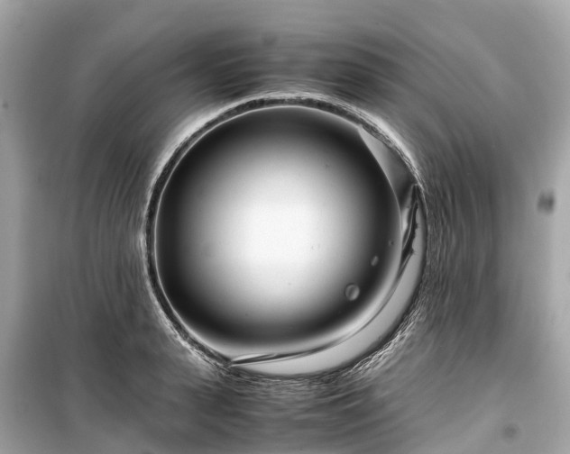 X0000099430943200805161107