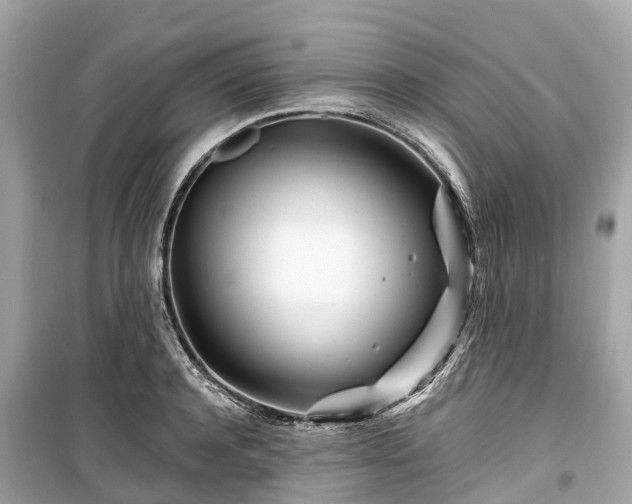 X0000099430944200805161107