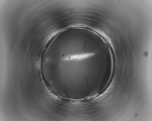 X0000099430945200805161107