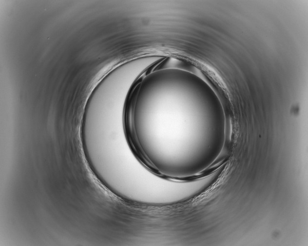 X0000099430946200805161107