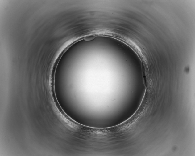 X0000099430947200805161107