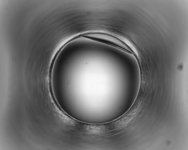 X0000099430951200805161107