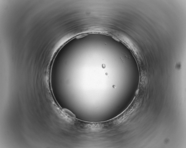 X0000099430952200805161107