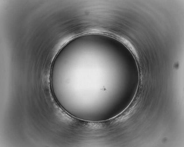 X0000099430954200805161107