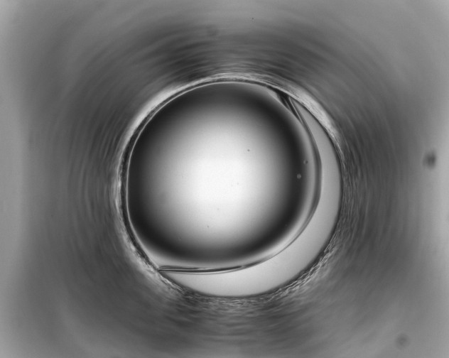 X0000099430955200805161107